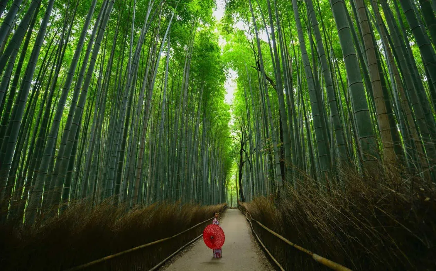 Provérbios japoneses