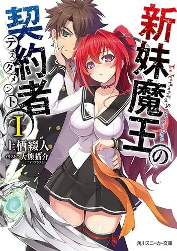 Shinmai Maou no Testament – Novel