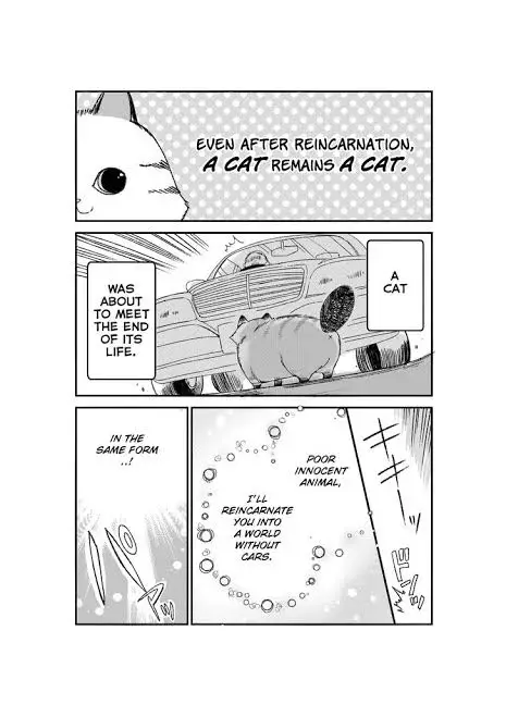 Isekai em que um gato morre atropelado pelo 'Truck-kun' e é reencarnado em outro mundo.