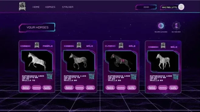 Crypto Horse