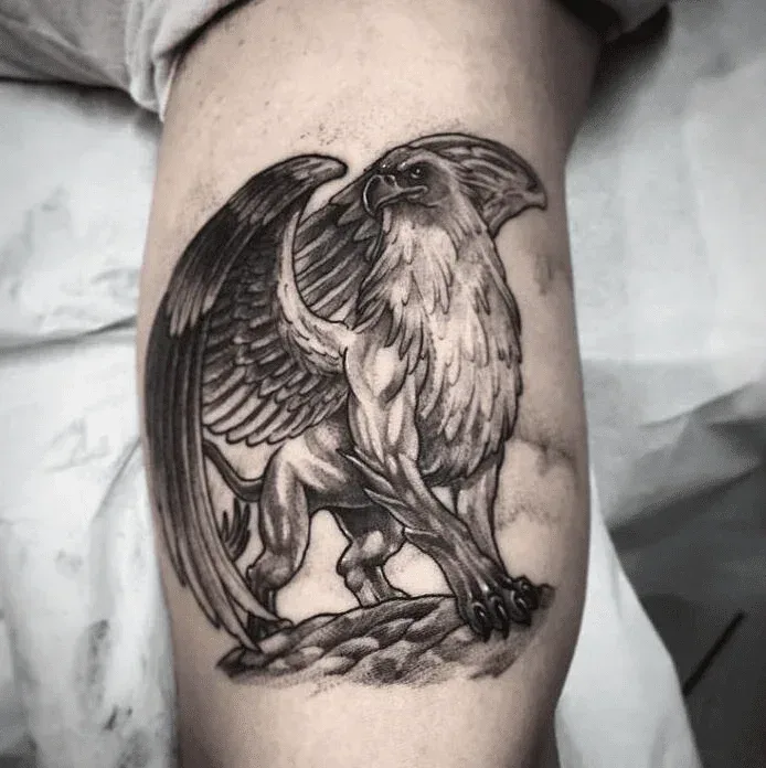 Tatuagem de grifo