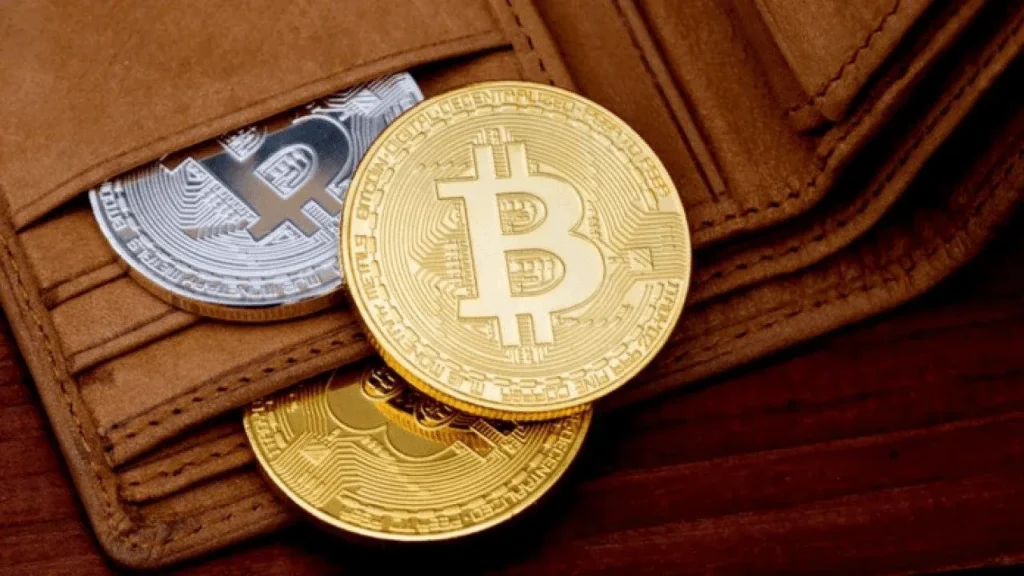 Melhores carteiras para guardar seus Bitcoins