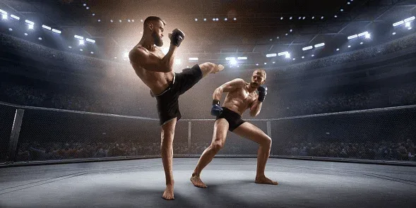 O que é MMA ou UFC?