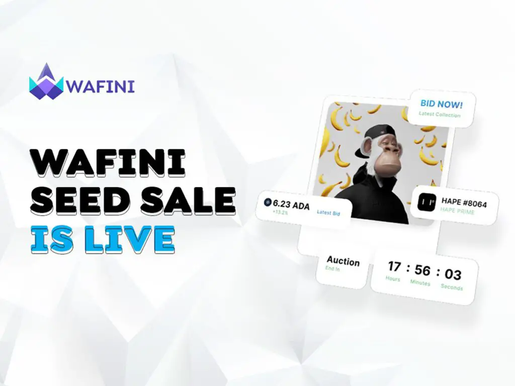 Wafini Token Demand Surges As Over 20% Of Its Allotted Seed Round Tokens Get Swooped In Days 