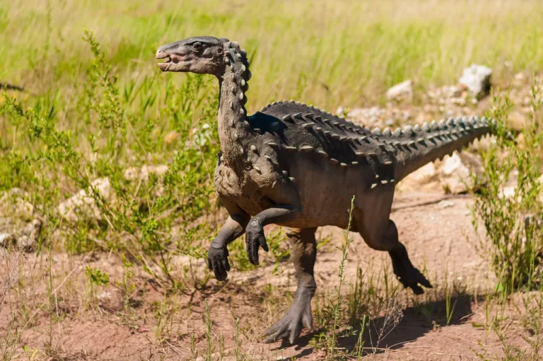 11 Curiosidades Interessantes sobre o Argentinossauro