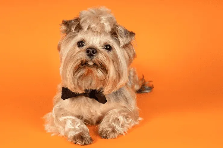 Use sua aparência física como inspiração