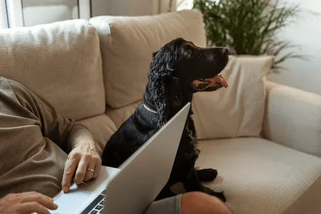 Seja atento ao gênero