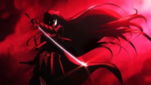 Night Raid in Akame ga Kill: An Overview of the Anime Series
