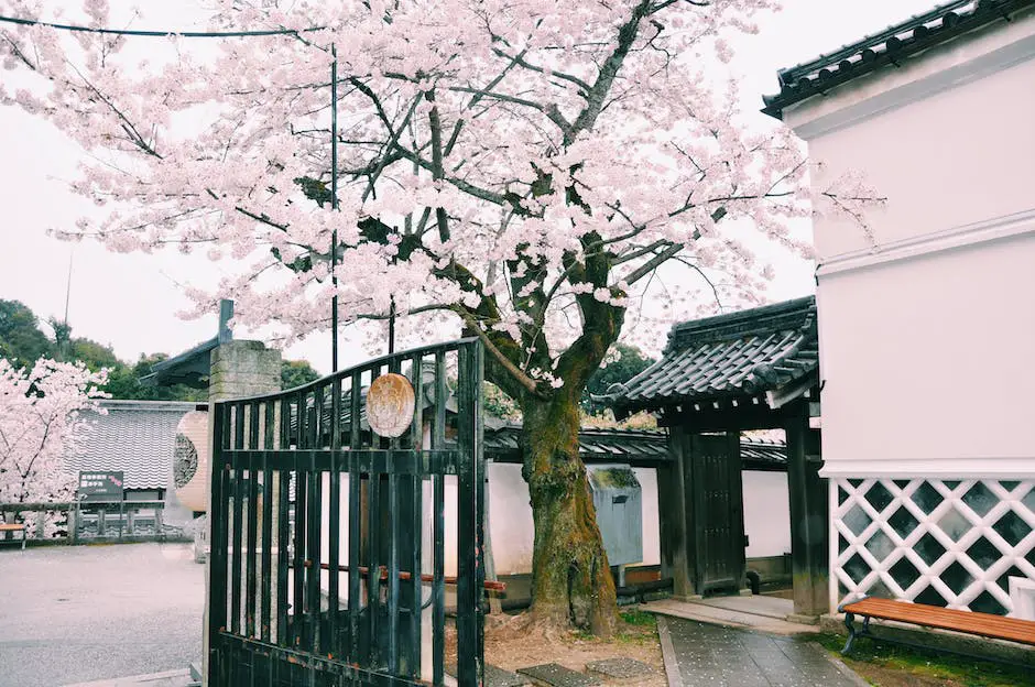 Imagem representando a literatura japonesa, mostrando um livro aberto com símbolos japoneses e uma cerejeira em fundo.